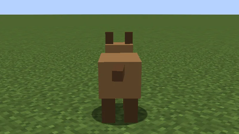 A small animal standing in a field
